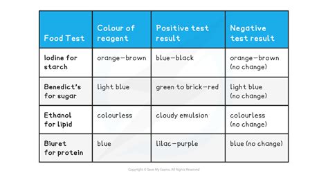 4.1.2 Food Tests .